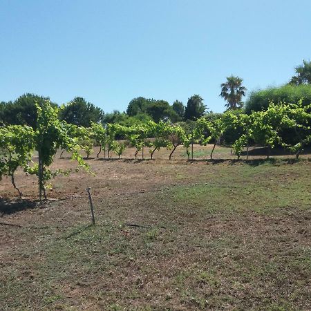 Villa Kos Mastichari  Zewnętrze zdjęcie