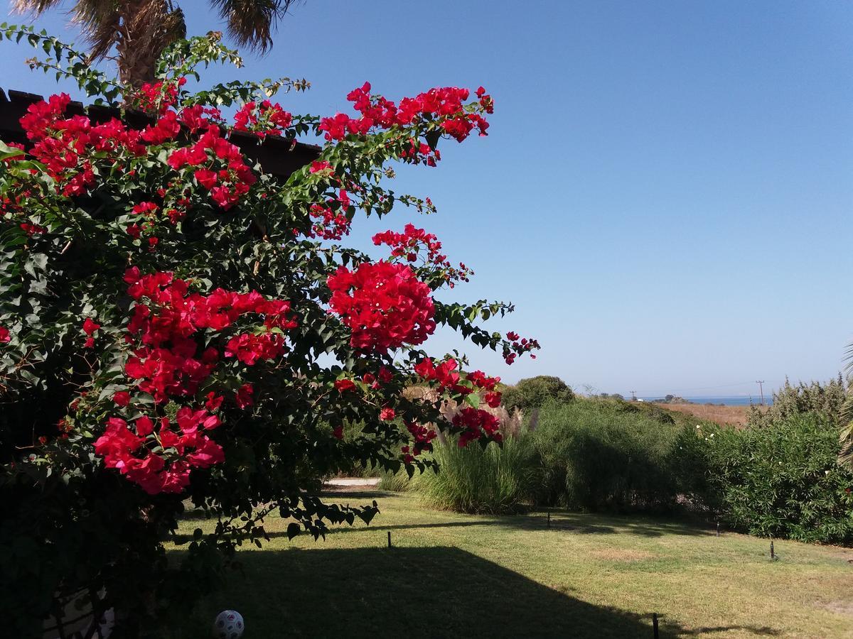 Villa Kos Mastichari  Zewnętrze zdjęcie