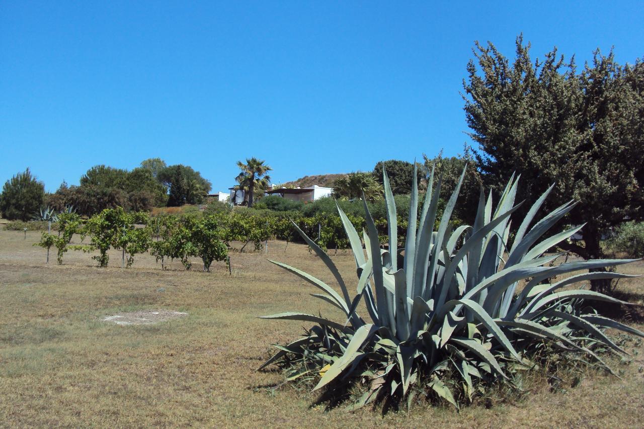 Villa Kos Mastichari  Zewnętrze zdjęcie
