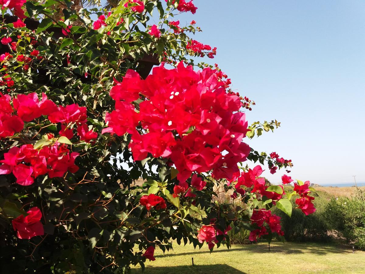 Villa Kos Mastichari  Zewnętrze zdjęcie